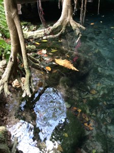 Grande Cenote, Tulum