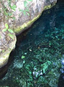 Grande Cenote, Tulum