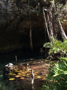 Grande Cenote, Tulum